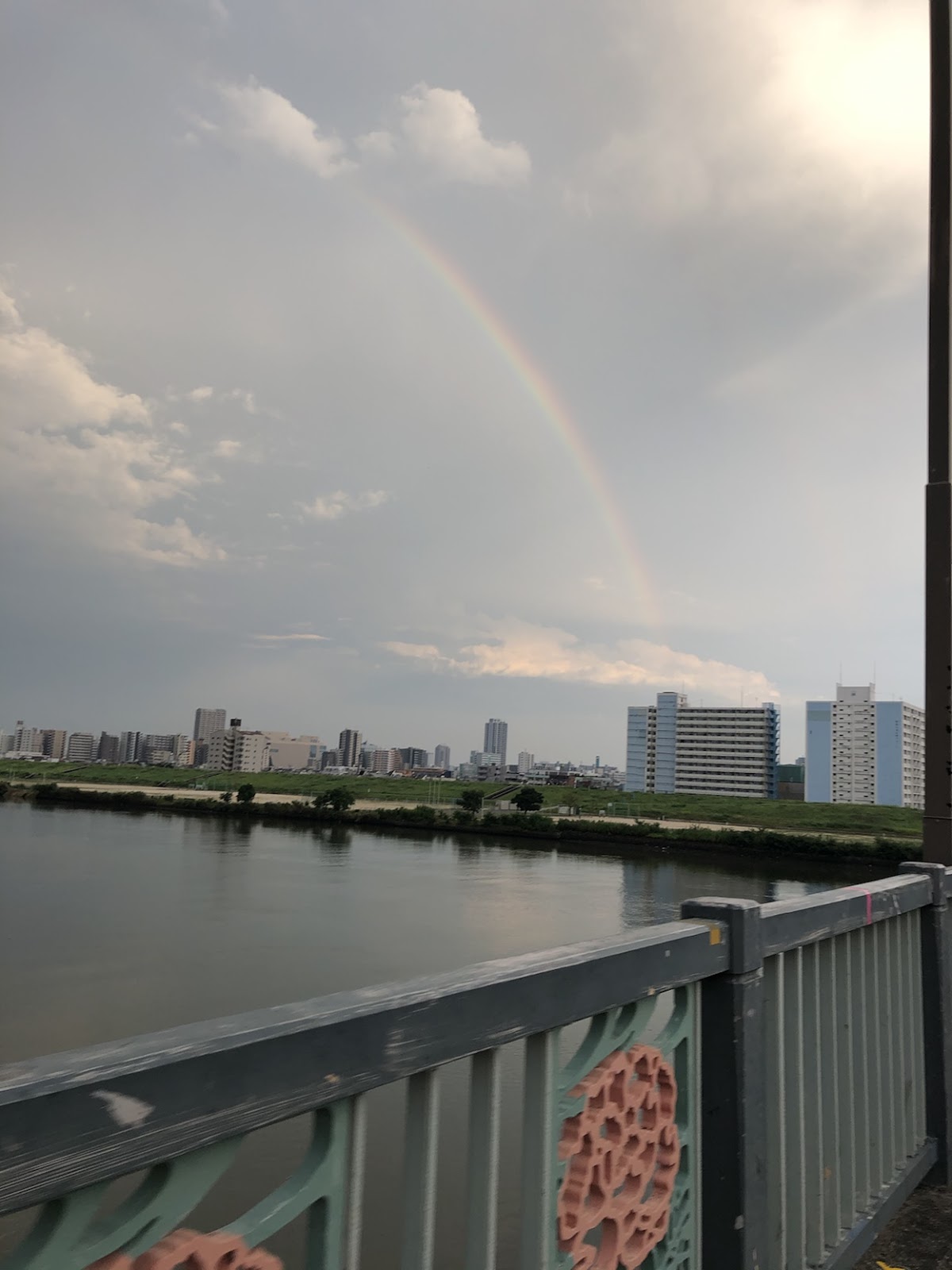訪問セラピストの日報のご紹介：西新井橋に立つ虹（訪問セラピストの日常）